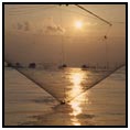 Genoa